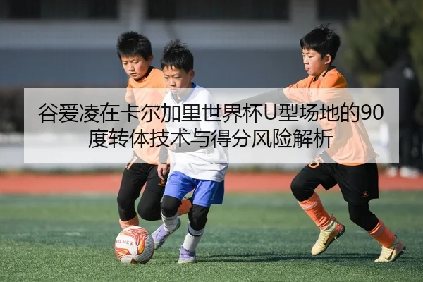 谷爱凌在卡尔加里世界杯U型场地的90度转体技术与得分风险解析