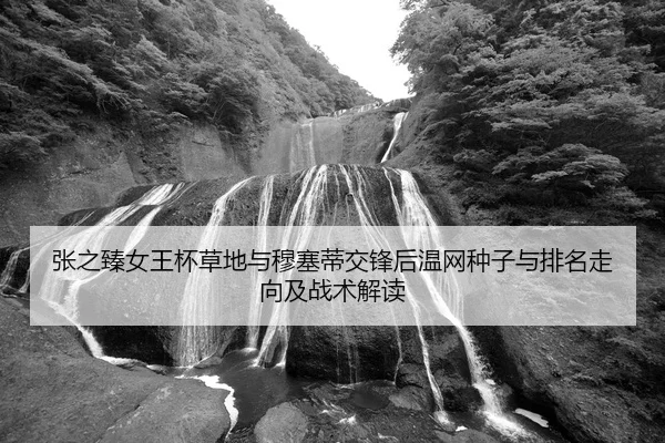 张之臻女王杯草地与穆塞蒂交锋后温网种子与排名走向及战术解读